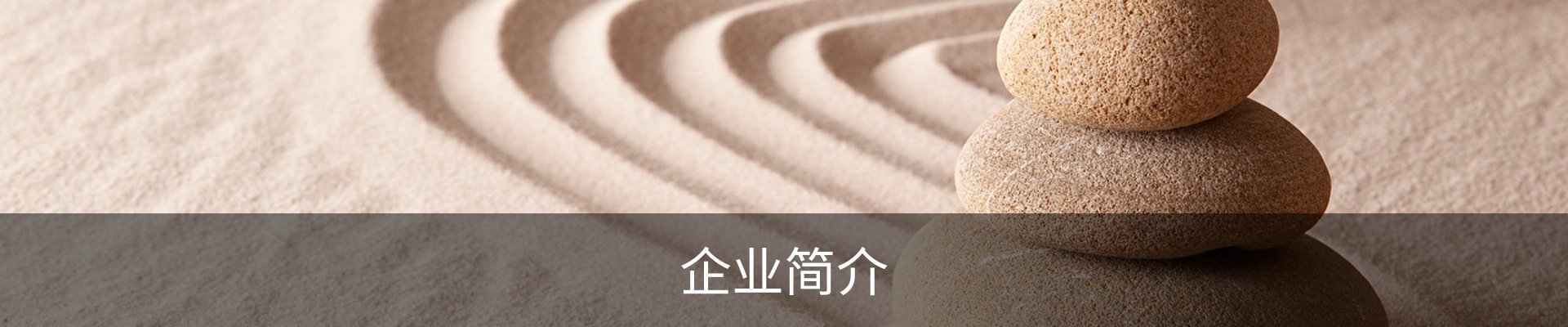 企业简介